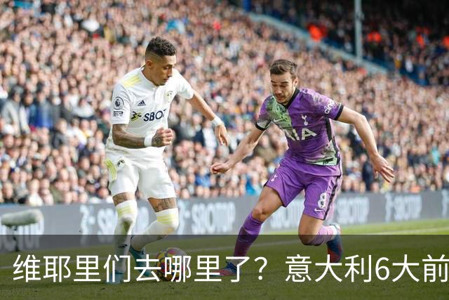 维耶里们去哪里了？意大利6大前锋没一个在踢欧冠